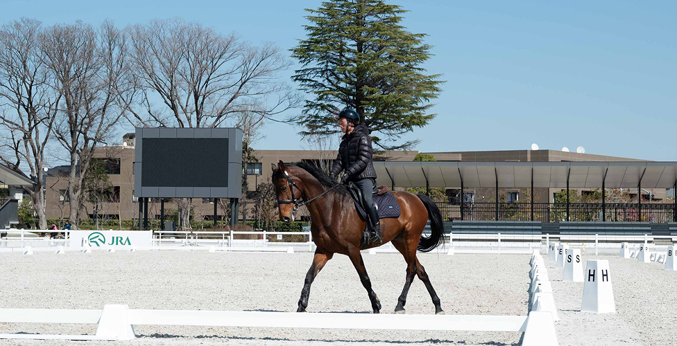 馬事公苑の緑に寄り添う住環境