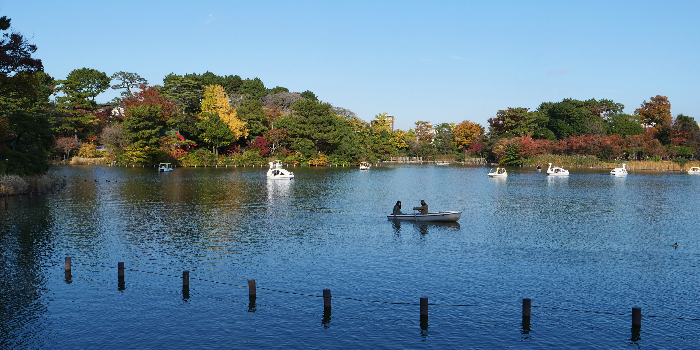 洗足池公園