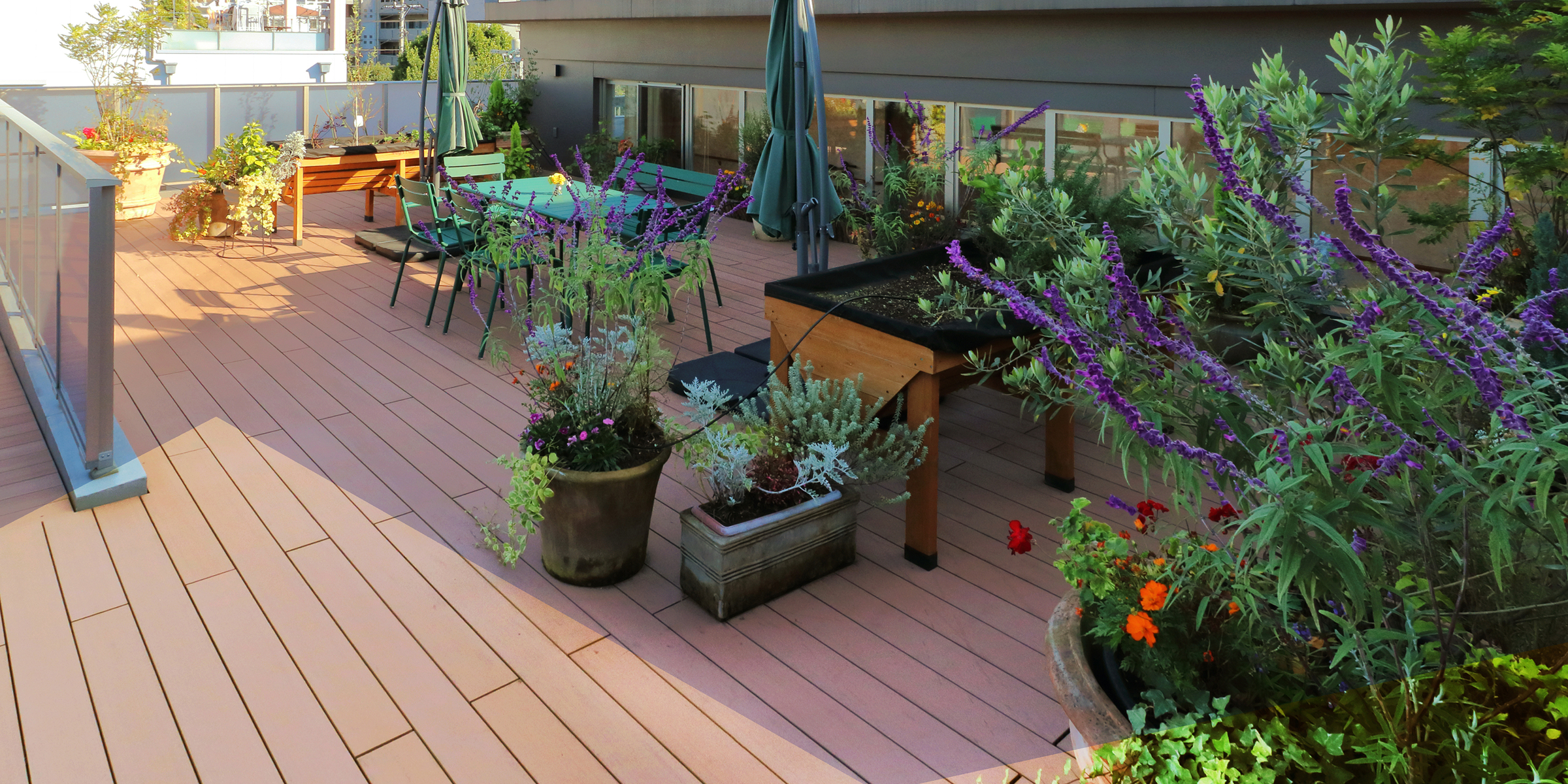 ルーフガーデン