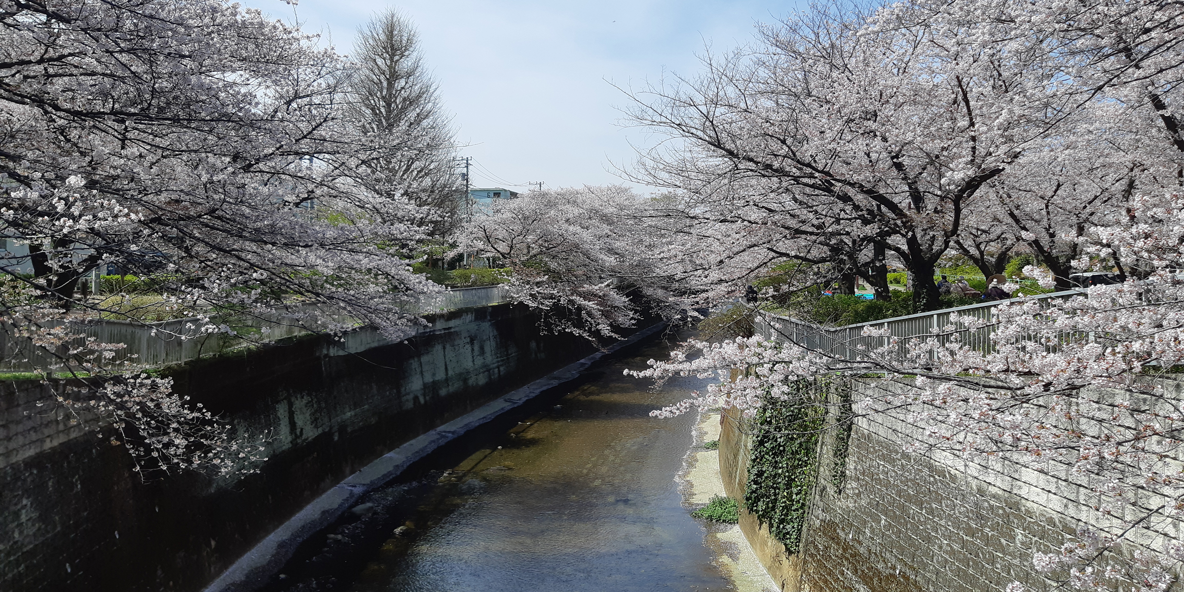石神井川