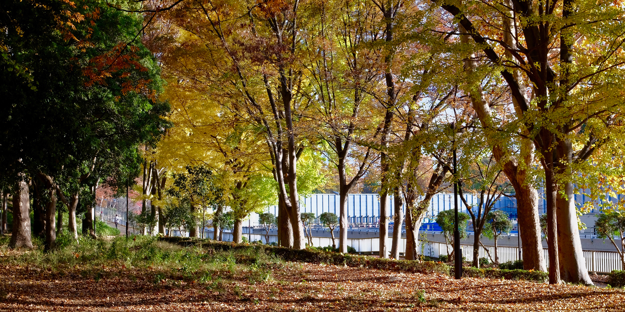 城北中央公園